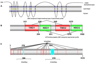 Specific Binding Protein ABCC1 Is Associated With Cry2Ab Toxicity in Helicoverpa armigera